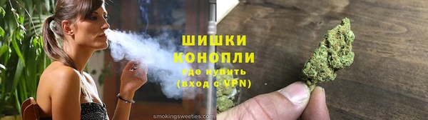 шишки Коряжма