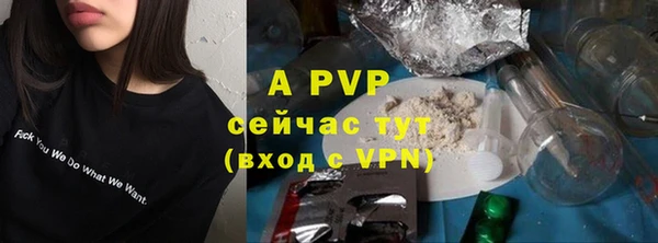 хмурый Корсаков