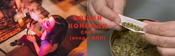 шишки Коряжма