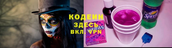 хмурый Корсаков
