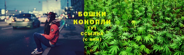 шишки Коряжма