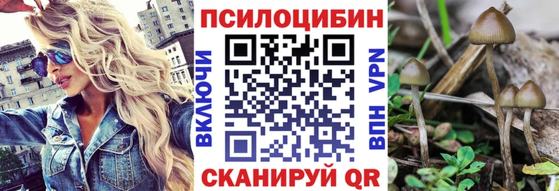 Галлюциногенные грибы GOLDEN TEACHER  Куртамыш 